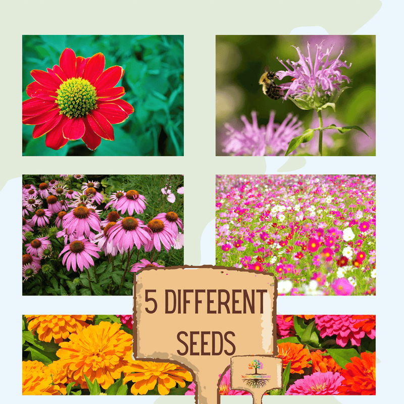 Save the Bees Children's Seed Kit