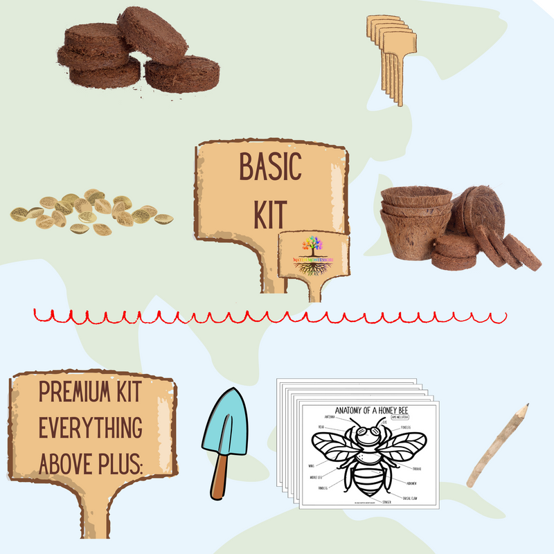 Save the Bees Children's Seed Kit