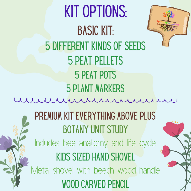 Save the Bees Children's Seed Kit