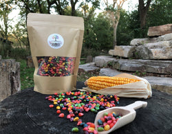 Montessori Toys Sensory Bin Rainbow Corn