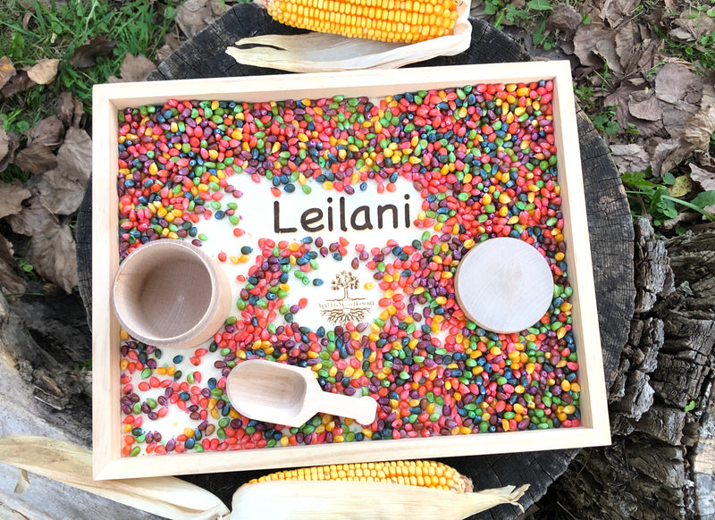 3 or 6 month  Montessori Sensory Play Box Subscription