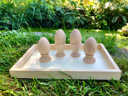Sensory Play Eggs and cups Tray Set