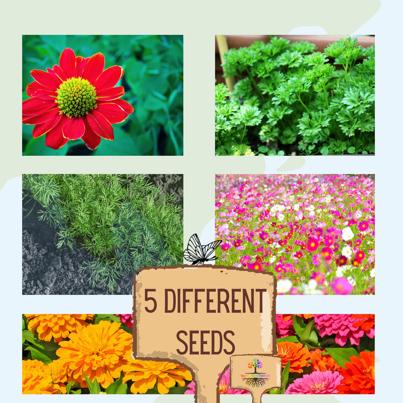 Butterfly Seed kits for kids, Garden set for kids, Kids gardening kit, Montessori Homeschool Botany, Grow your own kit Kids Activity Box DIY
