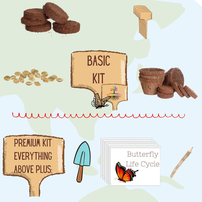 Butterfly Seed kits for kids, Garden set for kids, Kids gardening kit, Montessori Homeschool Botany, Grow your own kit Kids Activity Box DIY