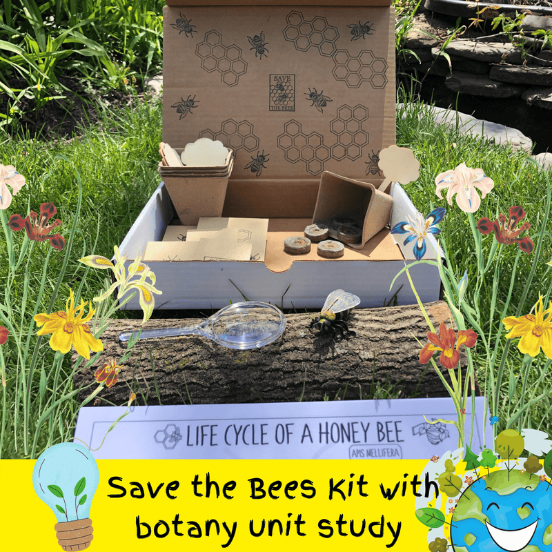 Save the Bees Children's Seed Kit