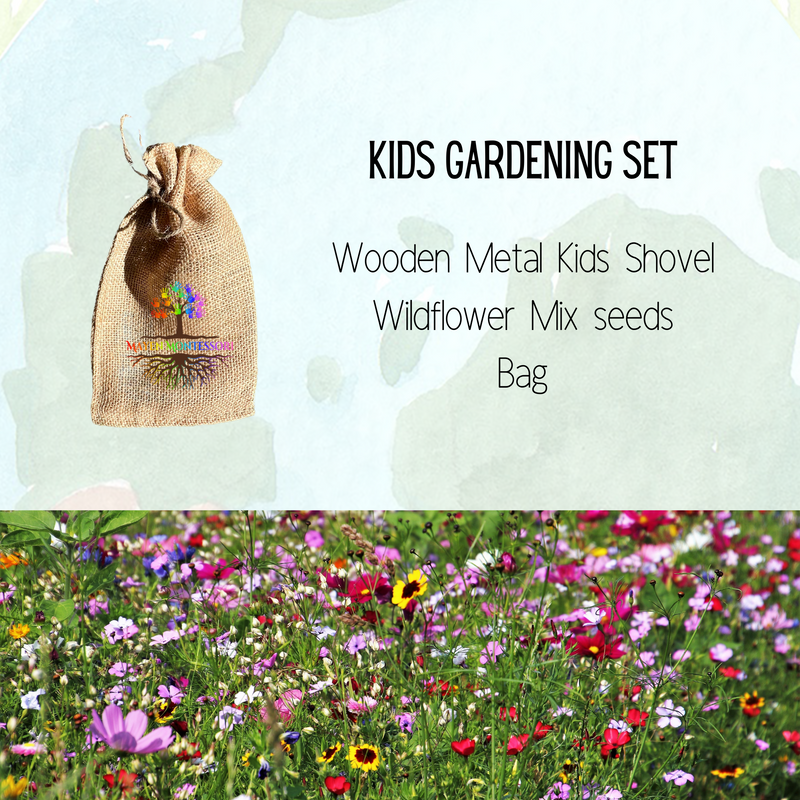 Hummingbird Seed Children's Kit